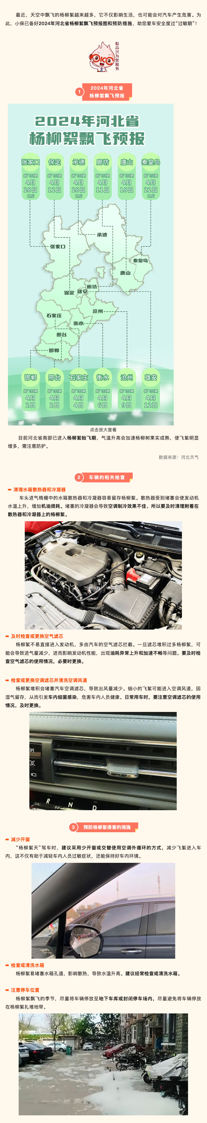 河北杨柳絮飘飞预报出炉‼️对汽车的危害很大！-.jpg